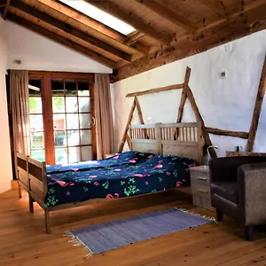 Сasa de vacaciones Casa Madera, Icod De Los Vinos